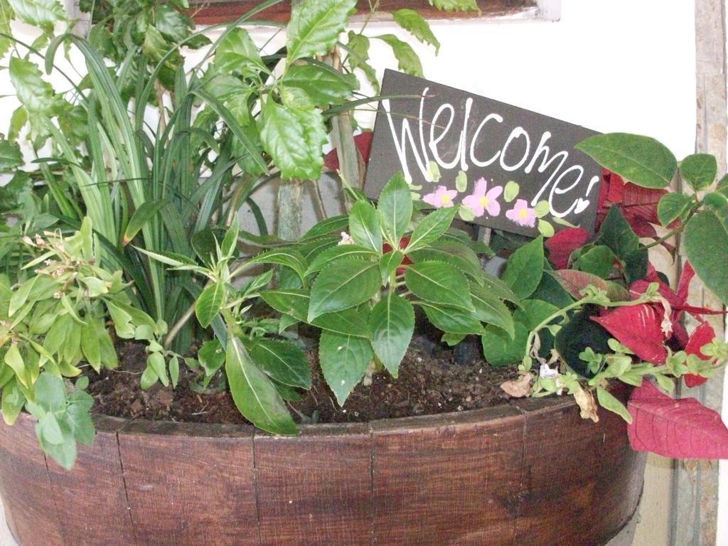 Bread And Barrel Guesthouse Bellville كيب تاون المظهر الخارجي الصورة
